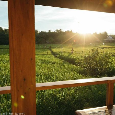 Guerrera Rice Paddy Villas Mambajao Kültér fotó