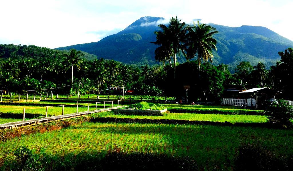 Guerrera Rice Paddy Villas Mambajao Kültér fotó